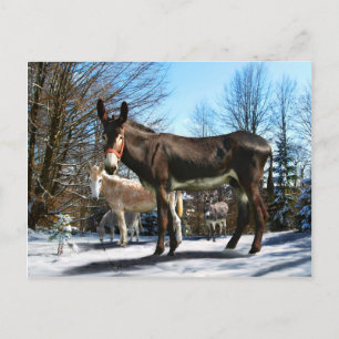 Carte Postale "Big Boy & Company"