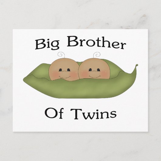 Carte Postale Big Brother Des Jumeaux (Devant)