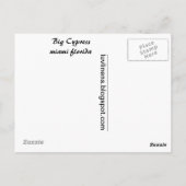 Carte Postale Big Cypress (Dos)