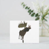 Carte Postale Big Daddy Moose (Debout devant)