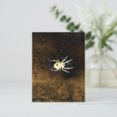 Carte Postale Big Déplaisant Spider sur son Web (Debout devant)