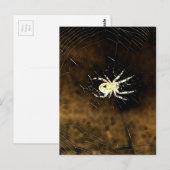 Carte Postale Big Déplaisant Spider sur son Web (Devant / Derrière)