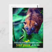 Carte Postale Big Eyed Possum (Devant / Derrière)