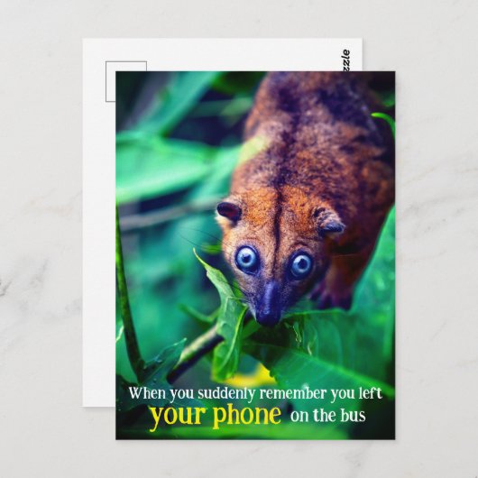 Carte Postale Big Eyed Possum (Devant / Derrière)