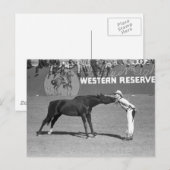 Carte Postale Big Horse Kiss, 1940 (Devant / Derrière)