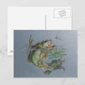 Carte Postale Big Mouth Bass (Devant / Derrière)