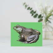 Carte postale Big Old Bullfrog Animal (Debout devant)