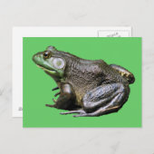 Carte postale Big Old Bullfrog Animal (Devant / Derrière)