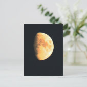 Carte Postale Big Old Moon pccan (Debout devant)