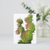 Carte Postale Big Old Stingy Cactus (Debout devant)