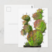 Carte Postale Big Old Stingy Cactus (Devant / Derrière)
