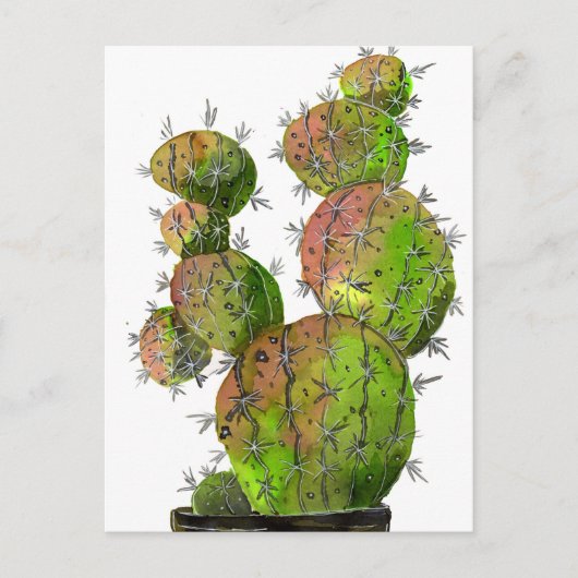 Carte Postale Big Old Stingy Cactus (Devant)