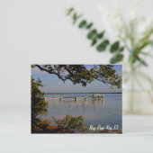 Carte Postale Big Pine (Debout devant)