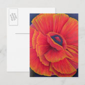 Carte Postale Big Poppy 2003 (Devant / Derrière)