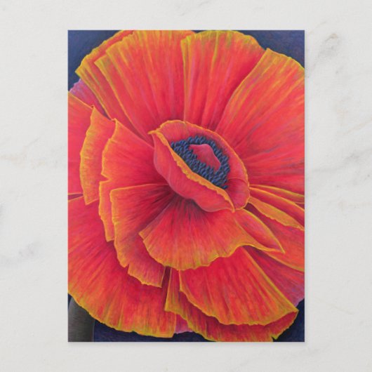 Carte Postale Big Poppy 2003 (Devant)