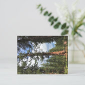 Carte Postale Big Red Tree, La Pine, Oregon (Debout devant)