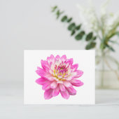 Carte Postale Big Rose Dahlia (Debout devant)