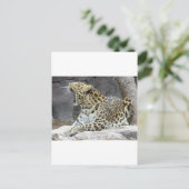 Carte Postale Big Yawn (Debout devant)