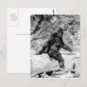 Carte Postale Bigfoot (Devant / Derrière)