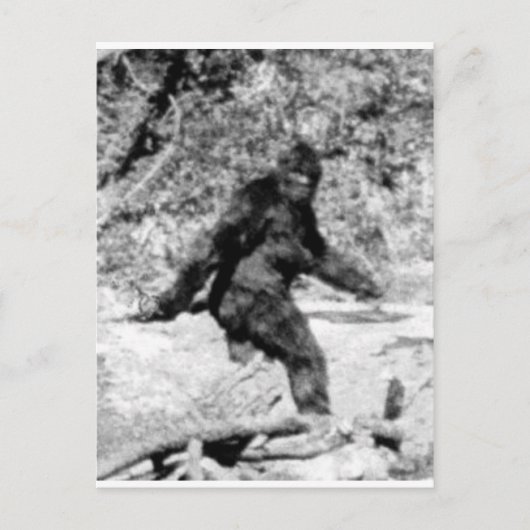 Carte Postale Bigfoot (Devant)