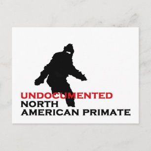 CARTE POSTALE BIGFOOT : PRIMATE NORD-AMÉRICAIN SOUS-CONNU