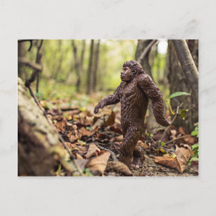 Carte postale Bigfoot   Sasquatch