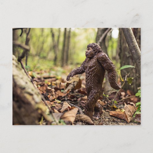 Carte postale Bigfoot | Sasquatch (Devant)