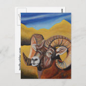 Carte Postale Bighorn Sheep (Devant / Derrière)