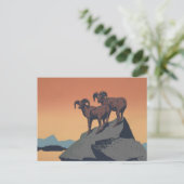 Carte Postale Bighorn Sheep American West Wildlife (Debout devant)