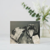 Carte Postale bigouche (Debout devant)