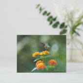 Carte Postale Bijou de danse (Debout devant)