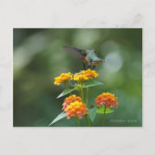 Carte Postale Bijou de danse (Devant)