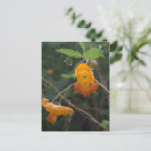 Carte Postale Bijou orange "Morning Glow" (Debout devant)