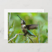 Carte Postale Bijoux Adorn (Devant / Derrière)