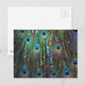 Carte Postale Bijoux Peacock (Devant / Derrière)