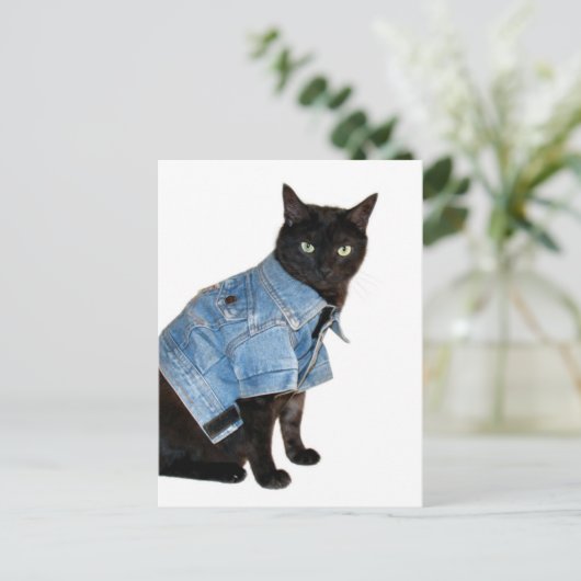 Carte Postale biker kitty (Debout devant)