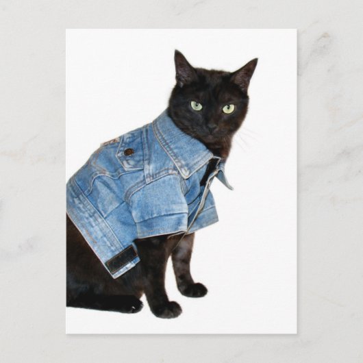 Carte Postale biker kitty (Devant)