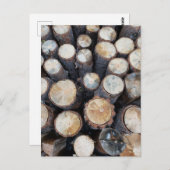 Carte Postale billes de bois photo nature originale (Devant / Derrière)