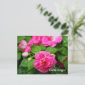 Carte postale - Billet chaud (Debout devant)