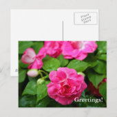 Carte postale - Billet chaud (Devant / Derrière)