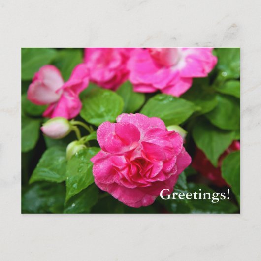 Carte postale - Billet chaud (Devant)