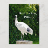 Carte Postale Bin Chicken Pfftt (Ibis) (Devant)