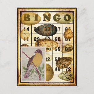 Carte Postale Bingo Bird