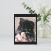 CARTE POSTALE BINKIE (Debout devant)