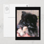CARTE POSTALE BINKIE (Devant / Derrière)