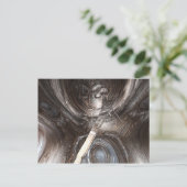 Carte postale Bio Grade (Debout devant)