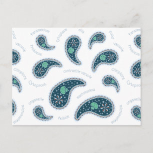 Carte Postale Biologie personnalisable Paramecia Paisley