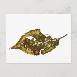 Carte postale "Birch #2"