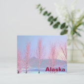 Carte Postale Birch à la crème de framboise (Debout devant)