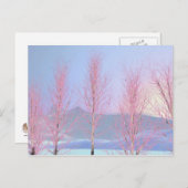 Carte Postale Birch à la crème de framboise (Devant / Derrière)